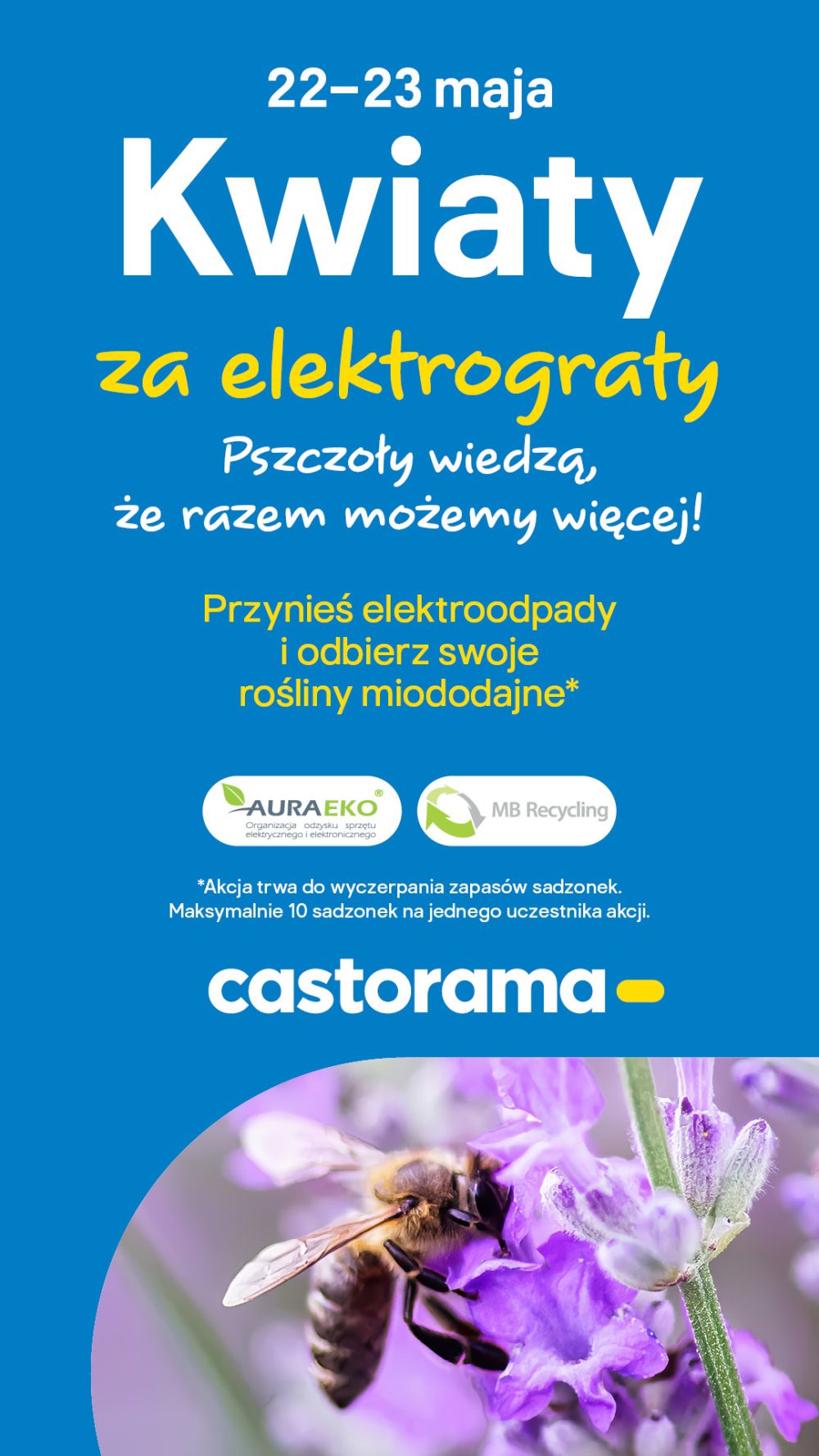 „Kwiaty za elektrograty” znów w maju! Castorama Zakopianka